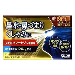 スカイブブロンHI