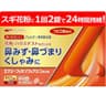 エナジーフェキソフェナジン鼻炎薬