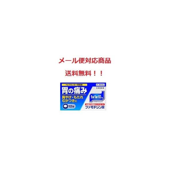 ガスター10